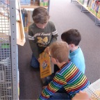 buecherei-2011-02-01