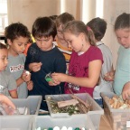 pinakothek2011-01-01