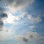 abschied4-2011-06-01