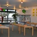 sfrucht2012-06-01