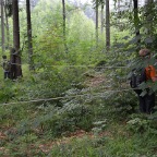 kl3wald12-06-06