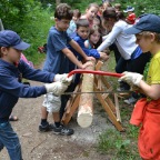 kl3wald12-06-10