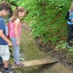 kl3wald12-06-15