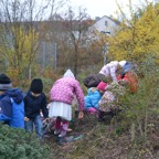 herbst15-10-11.jpg